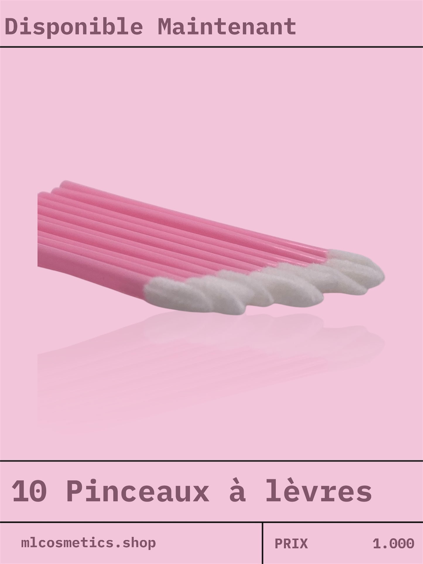 Lot de 10 Pinceaux à Lèvres Pratiques